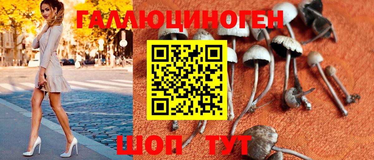 Дмитров  Галлюциногенные грибы GOLDEN TEACHER  Вход с VPN 