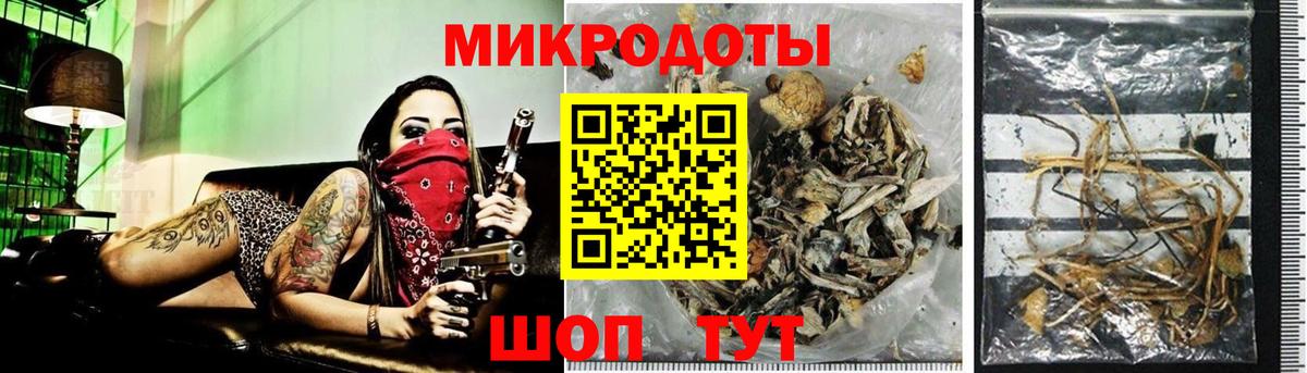 Галлюциногенные грибы GOLDEN TEACHER Дмитров